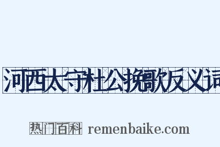 河西太守杜公挽歌反义词是什么意思的图片